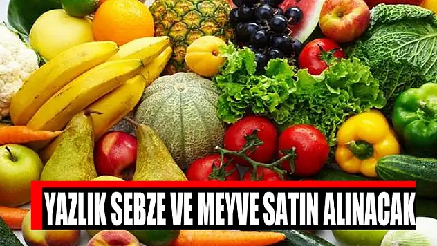 Yazlık sebze ve meyve satın alınacak