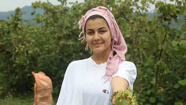Yeşil altın fındıkta hasat başladı