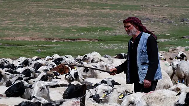 Yetiştiricilere 127,7 milyon TL kredi desteği