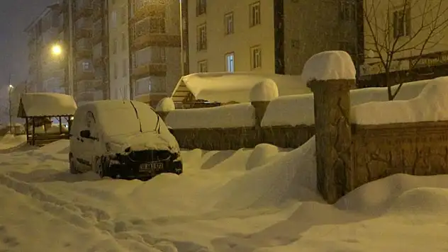 Yoğun kar ve tipi Bitlis'te hayatı olumsuz etkiledi