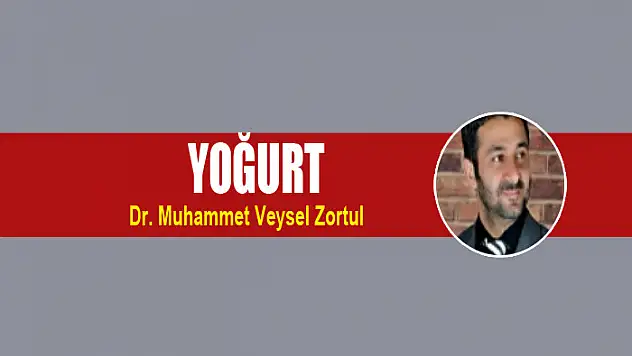 Yoğurt