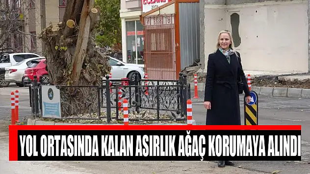 Yol ortasında kalan asırlık ağaç korumaya alındı