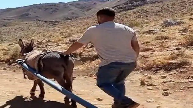 Yolalan'da eşeklerle su seferberliği