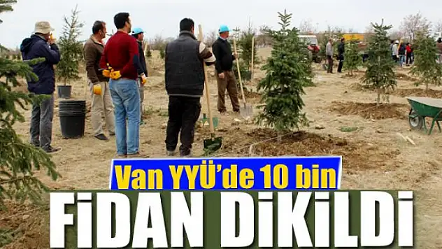 Van YYÜ'de 10 bin fidan dikildi