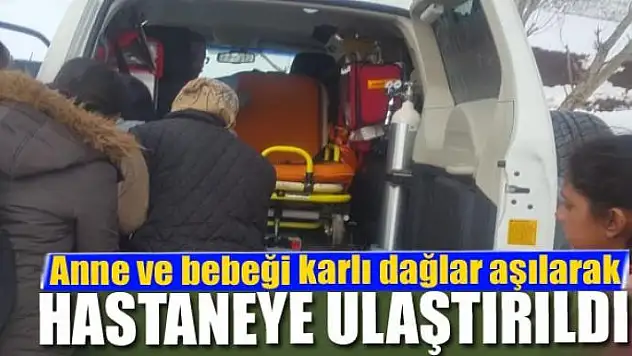 Anne ve bebeği karlı dağlar aşılarak hastaneye ulaştırıldı