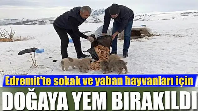 Edremit'te sokak ve yaban hayvanları için doğaya yem bırakıldı