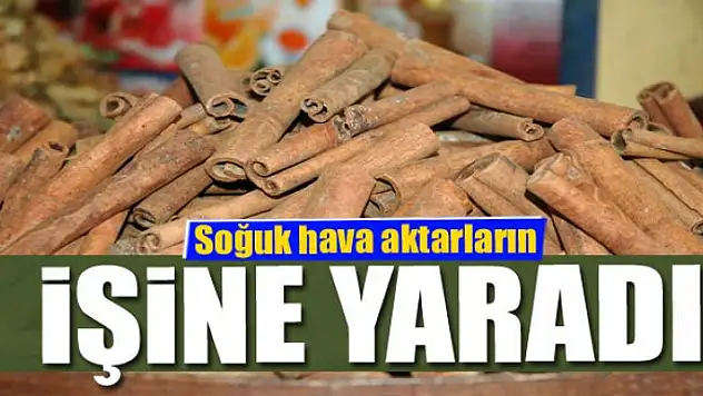 Soğuk hava aktarların işine yaradı