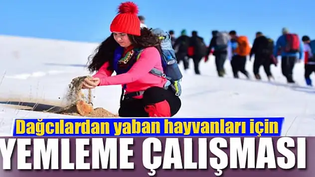 Dağcılardan yaban hayvanları için yemleme çalışması
