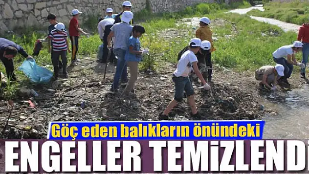 Göç eden balıkların önündeki engeller temizlendi