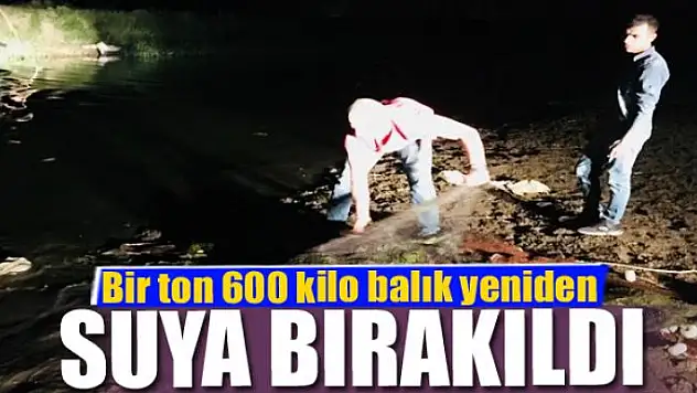 Kaçak avlanan balıklar yeniden suya bırakıldı 