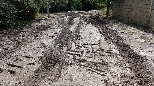 Zambak Sokak 10 yıldır asfalt bekliyor