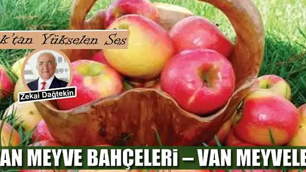 Van  Meyve Bahçeleri - Van Meyveleri