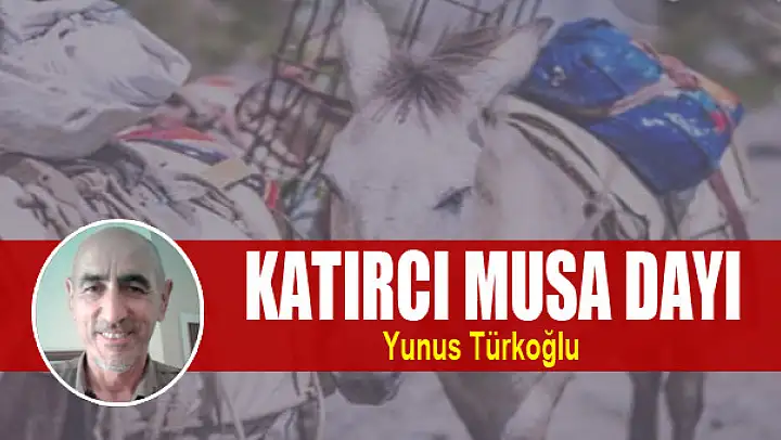 Katırcı Musa Dayı