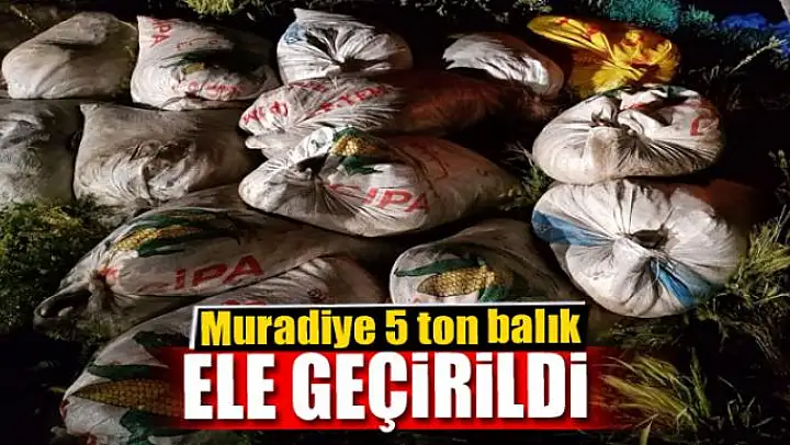 5 ton balık ele geçirildi 