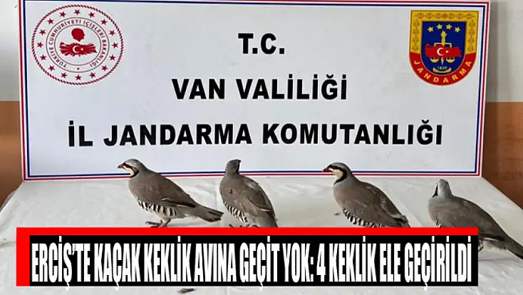 Erciş’te kaçak keklik avına geçit yok: 4 keklik ele geçirildi