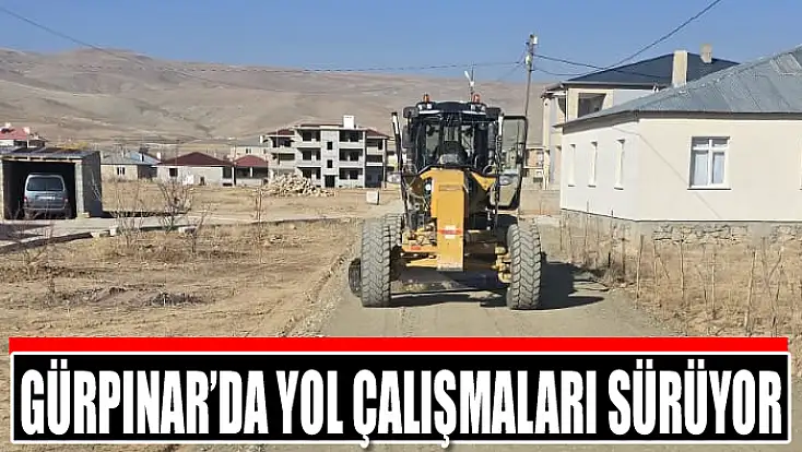 Gürpınar’da yol çalışmaları sürüyor
