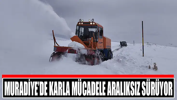 Muradiye’de karla mücadele aralıksız sürüyor