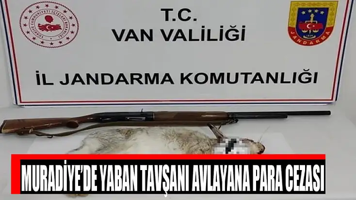 Muradiye’de yaban tavşanı avlayana para cezası