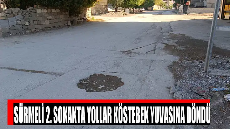 Sürmeli 2. Sokakta yollar köstebek yuvasına döndü