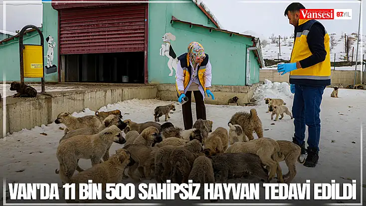 Van'da 11 Bin 500 sahipsiz hayvan tedavi edildi