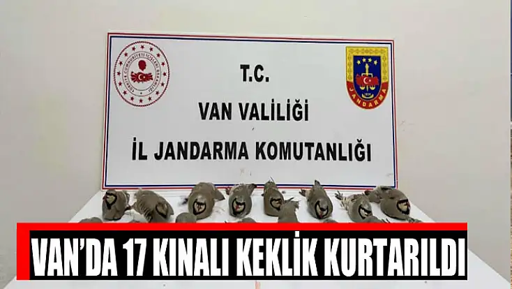 Van’da 17 kınalı keklik kurtarıldı