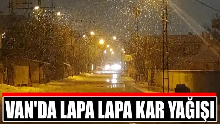 Van'da lapa lapa kar yağışı