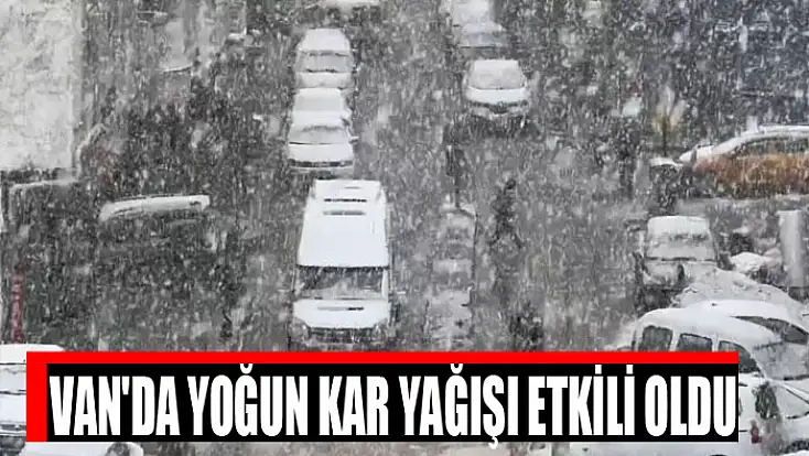 Van'da yoğun kar yağışı etkili oldu