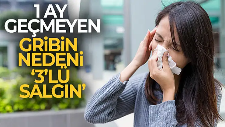1 ay geçmeyen gribin nedeni '3'lü salgın'