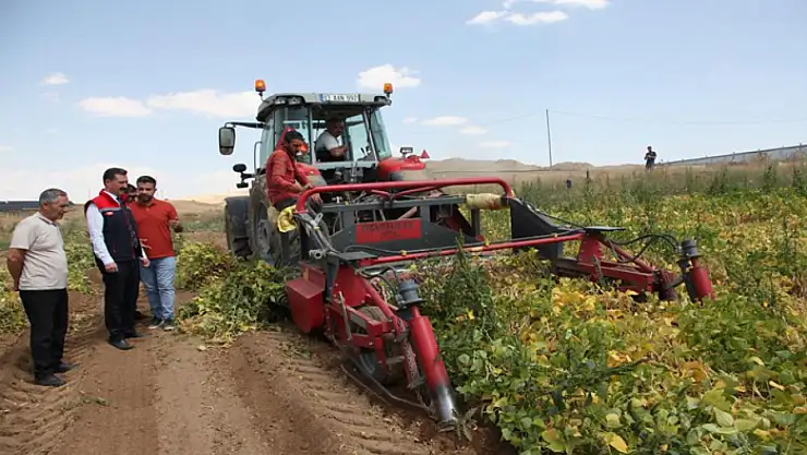 110 bin dekar alana ekilen kuru fasulyenin hasadına başlandı