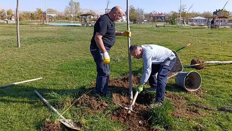 15 Temmuz Parkı'nda fidan dikim çalışması