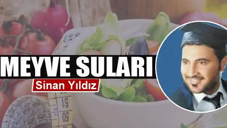 Meyve suları