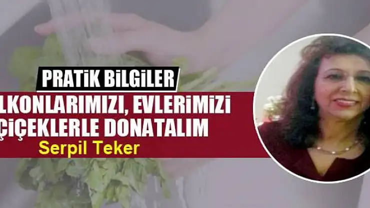 Balkonlarımızı, evlerimizi çiçeklerle donatalım
