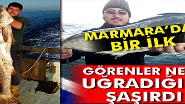 Marmara'da bir ilk...Balıkçılar da şok oldu