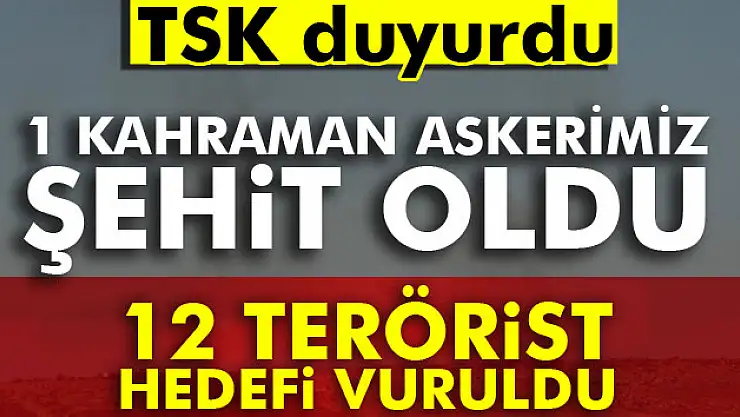1 kahraman askerimiz şehit oldu, 12 terörist hedefi vuruldu