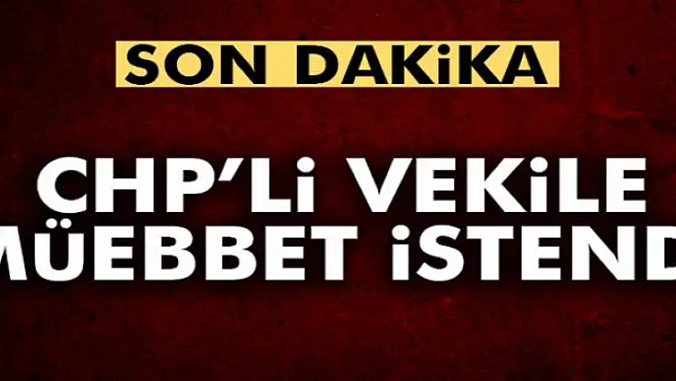 Son dakika! MİT TIR'ları davasında CHP'li vekilin müebbet hapsi istendi