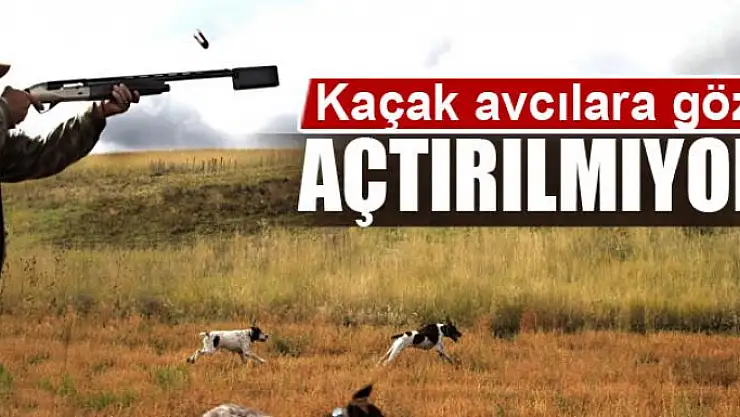 Kaçak avcılara göz açtırılmıyor