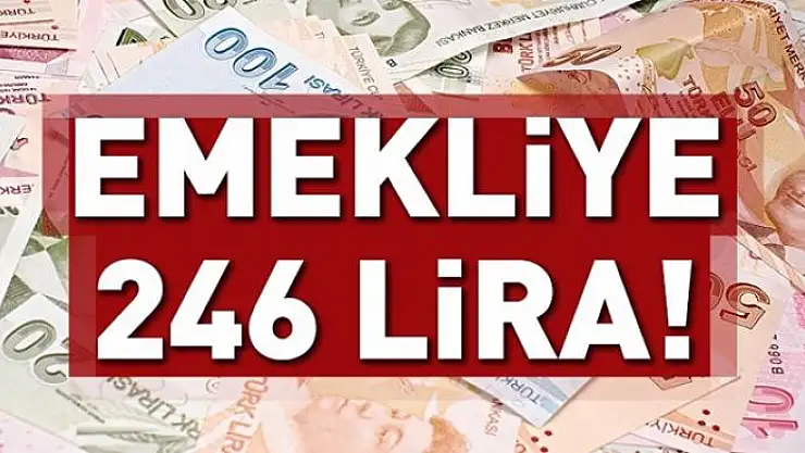 Emekliye 246 TL 