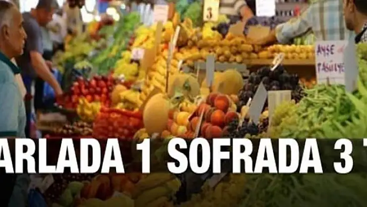 Tarlada 1 sofrada 3 TL