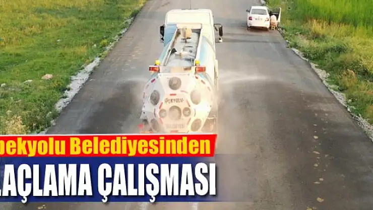 İpekyolu Belediyesinden ilaçlama çalışması