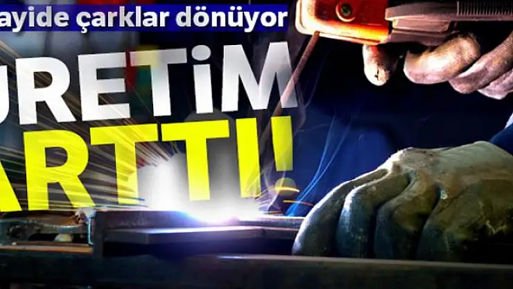 Sanayi üretimi yıllık yüzde 5,1 arttı