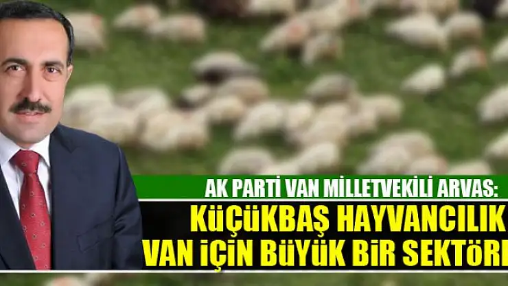 Milletvekili Arvas: Küçükbaş hayvancılık Van için büyük bir sektördür