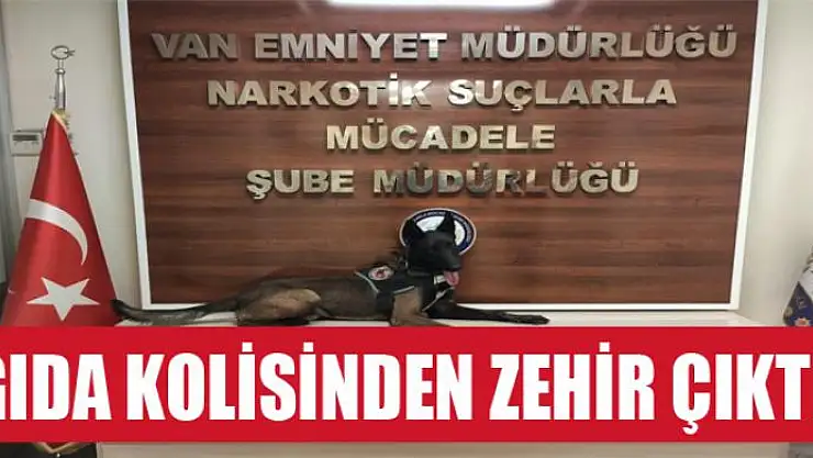 Gıda kolisinden zehir çıktı