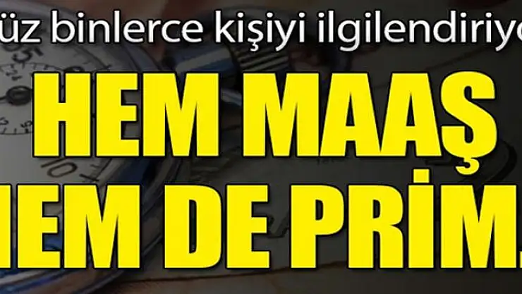 Teşvikler netleşti! Hem maaş hem de prim...