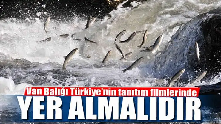 Van Balığı reklamlarda yer almaya devam etmelidir 