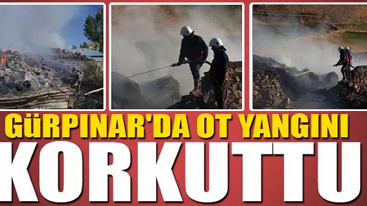 Gürpınar'da ot yangını korkuttu