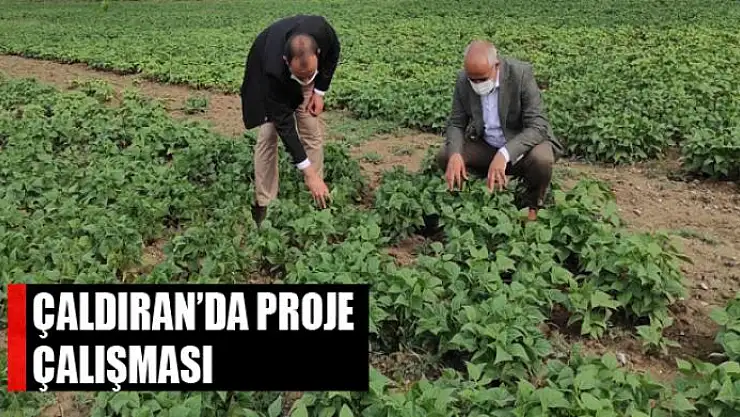 Çaldıran'da bitkisel ürün çeşitliliğinin arttırılmasına yönelik proje çalışması
