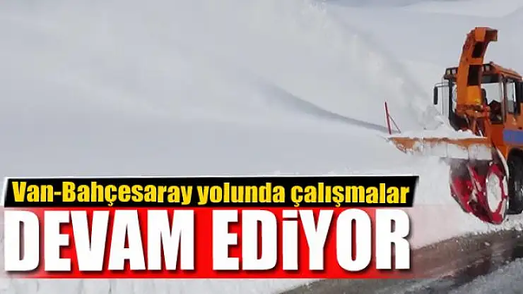 Van-Bahçesaray yolunda çalışmalar devam ediyor