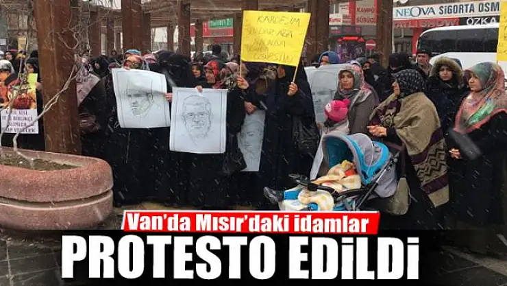 Van'da Mısır'daki idamlar protesto edildi