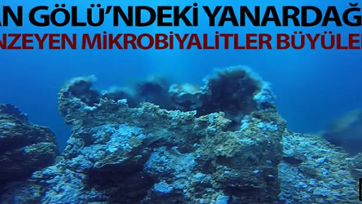 Yanardağa benzeyen mikrobiyalitler büyüledi
