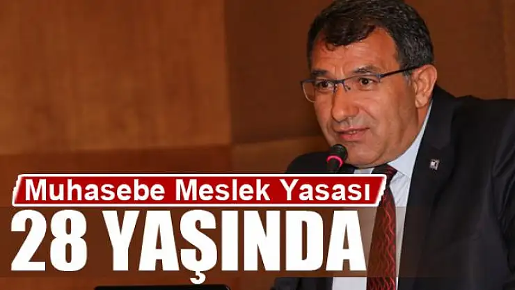 Muhasebe Meslek Yasası 28 yaşında 